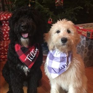 Meet your Posher, Sally anne